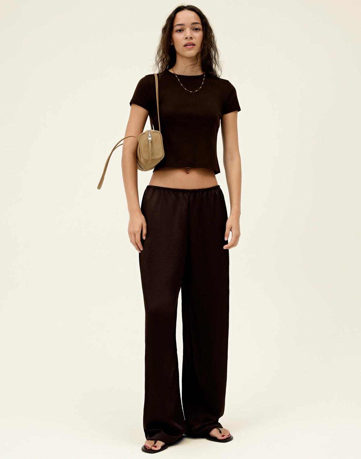 DARK CHICORY