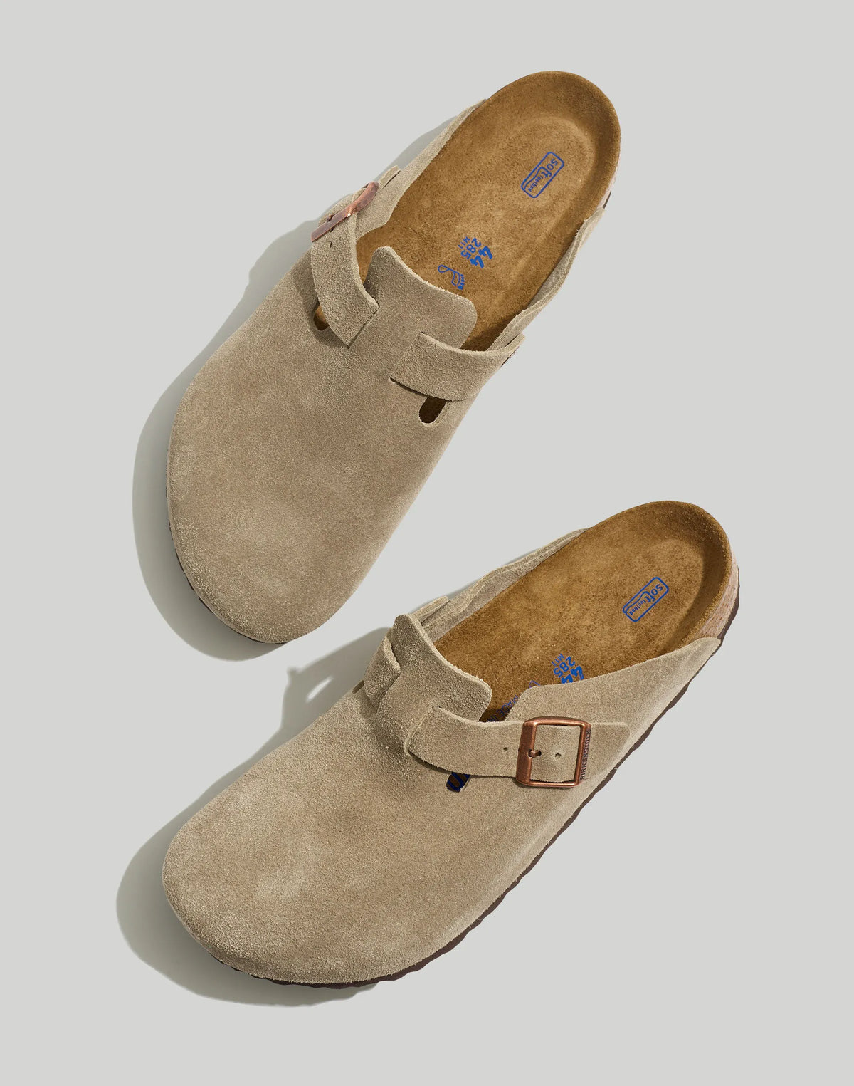 TAUPE (EE3275)