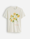 SOFT WHITE (KF8139)