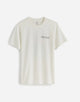 SOFT WHITE (KF8140)