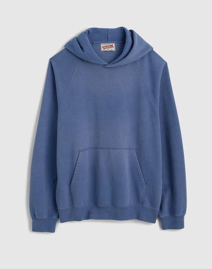 BLUE IRIS