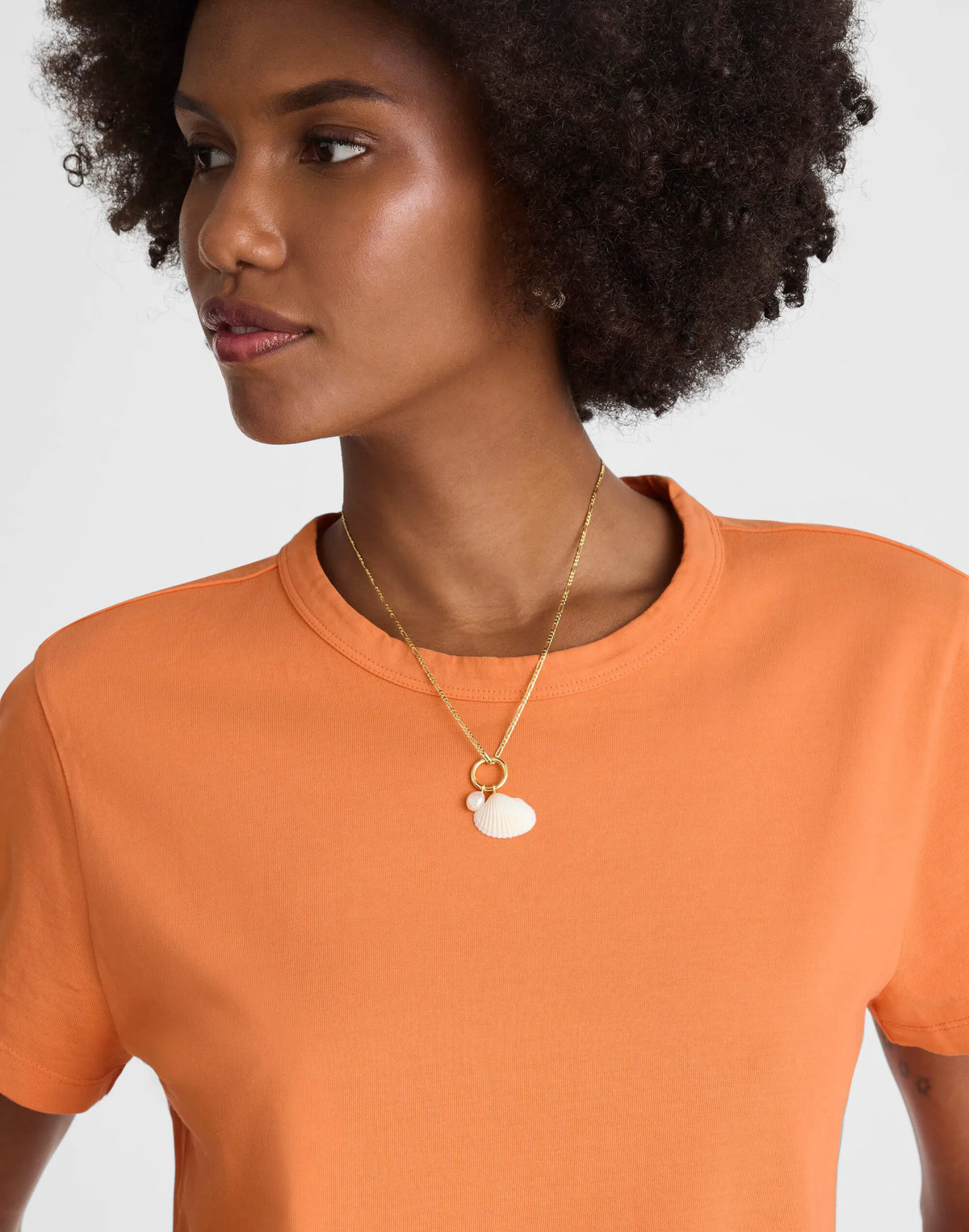 APRICOT