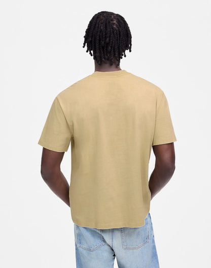 PALE LICHEN