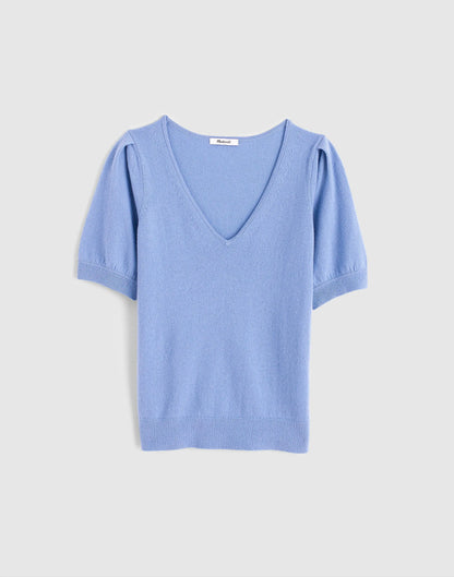 HYDRANGEA BLUE