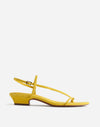 POPLAR YELLOW