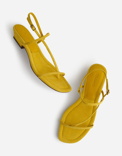 POPLAR YELLOW