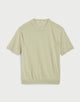 DUSTY CELADON