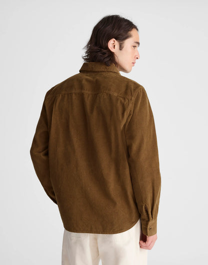 WOODLAND BROWN