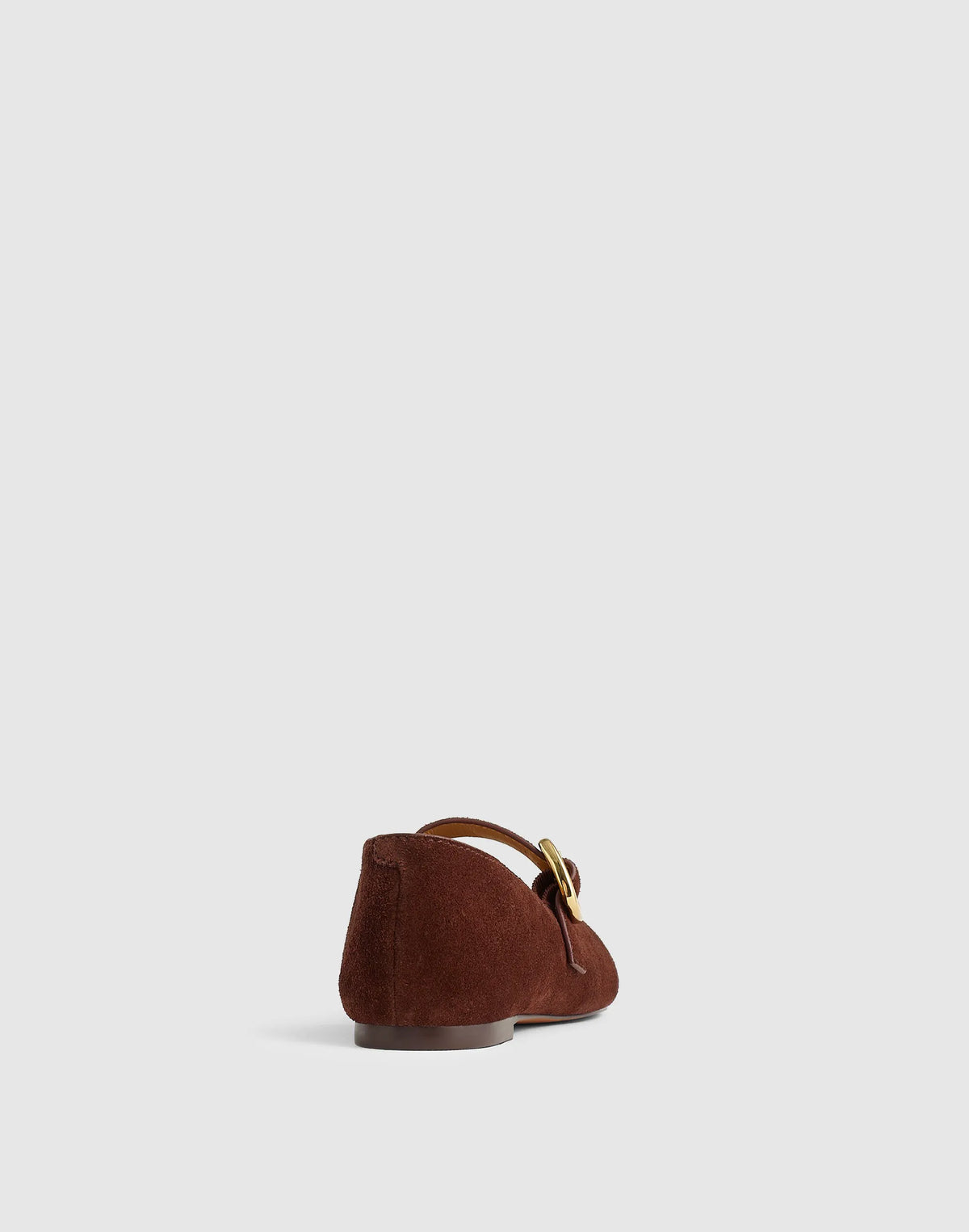 CHOCOLATE RAISIN