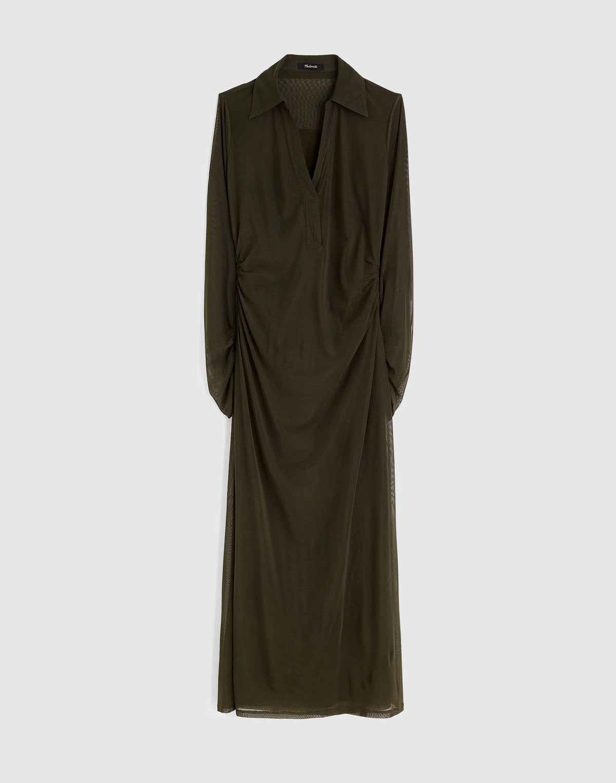 MIDNIGHT OLIVE