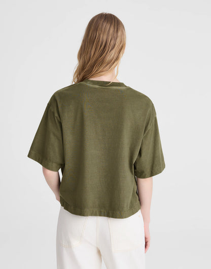 FADED IVY