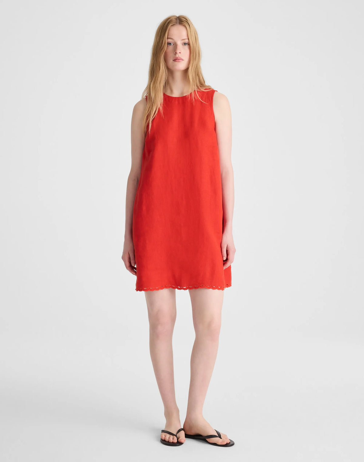 WILD POPPY