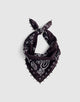 CHOCOLATE PLUM