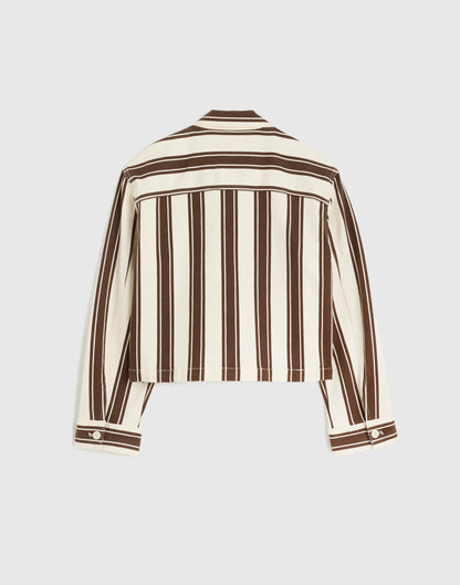DARK BROWN STRIPE