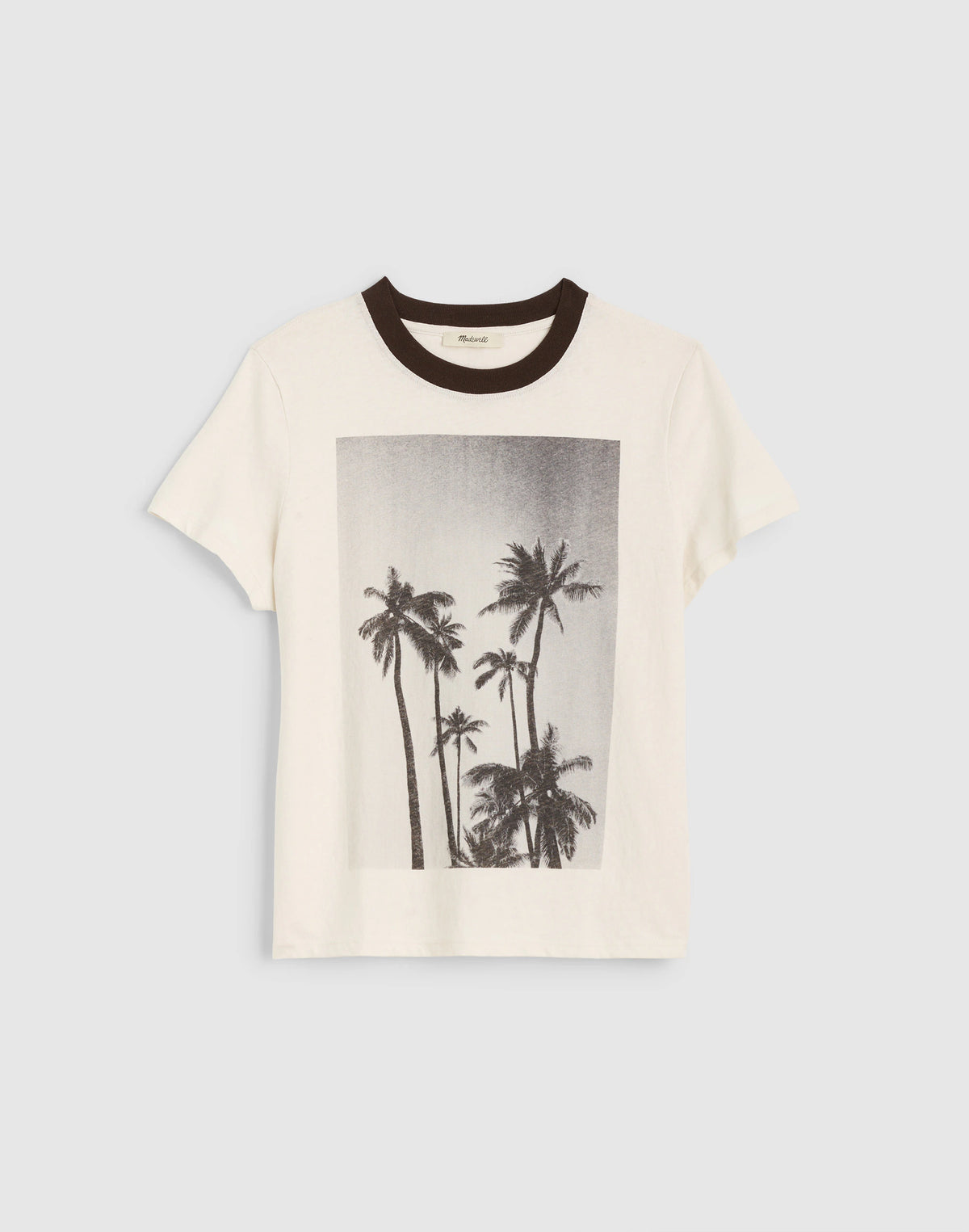PALM TREE