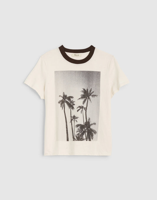 PALM TREE