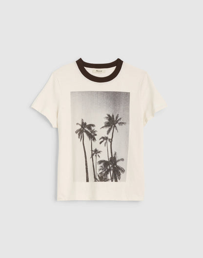 PALM TREE