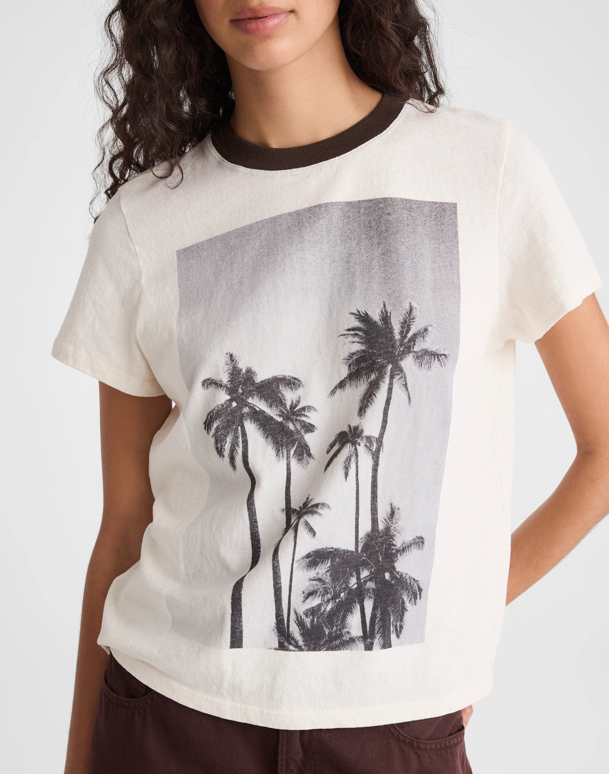 PALM TREE