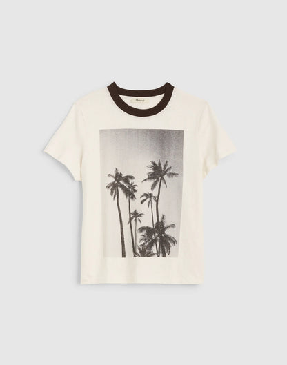 PALM TREE