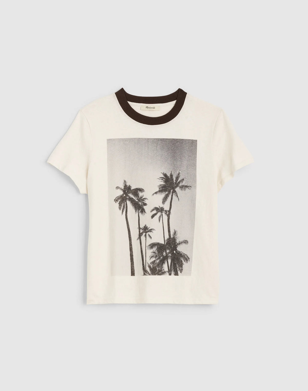 PALM TREE