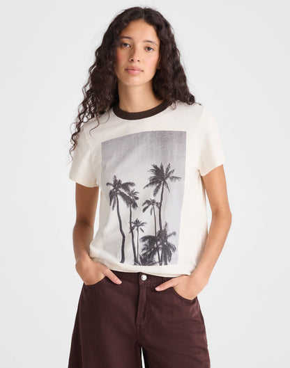 PALM TREE
