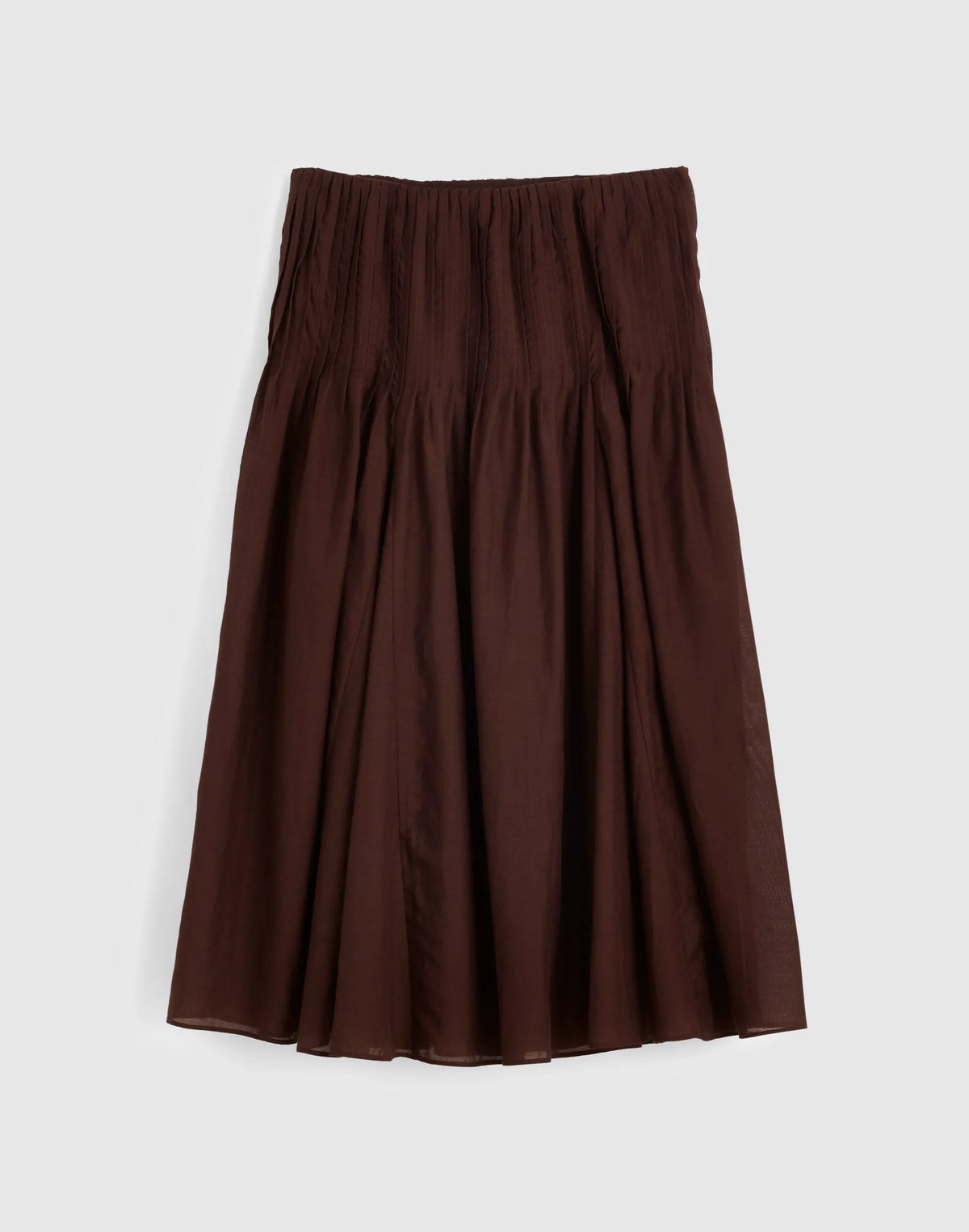 DARK CHICORY