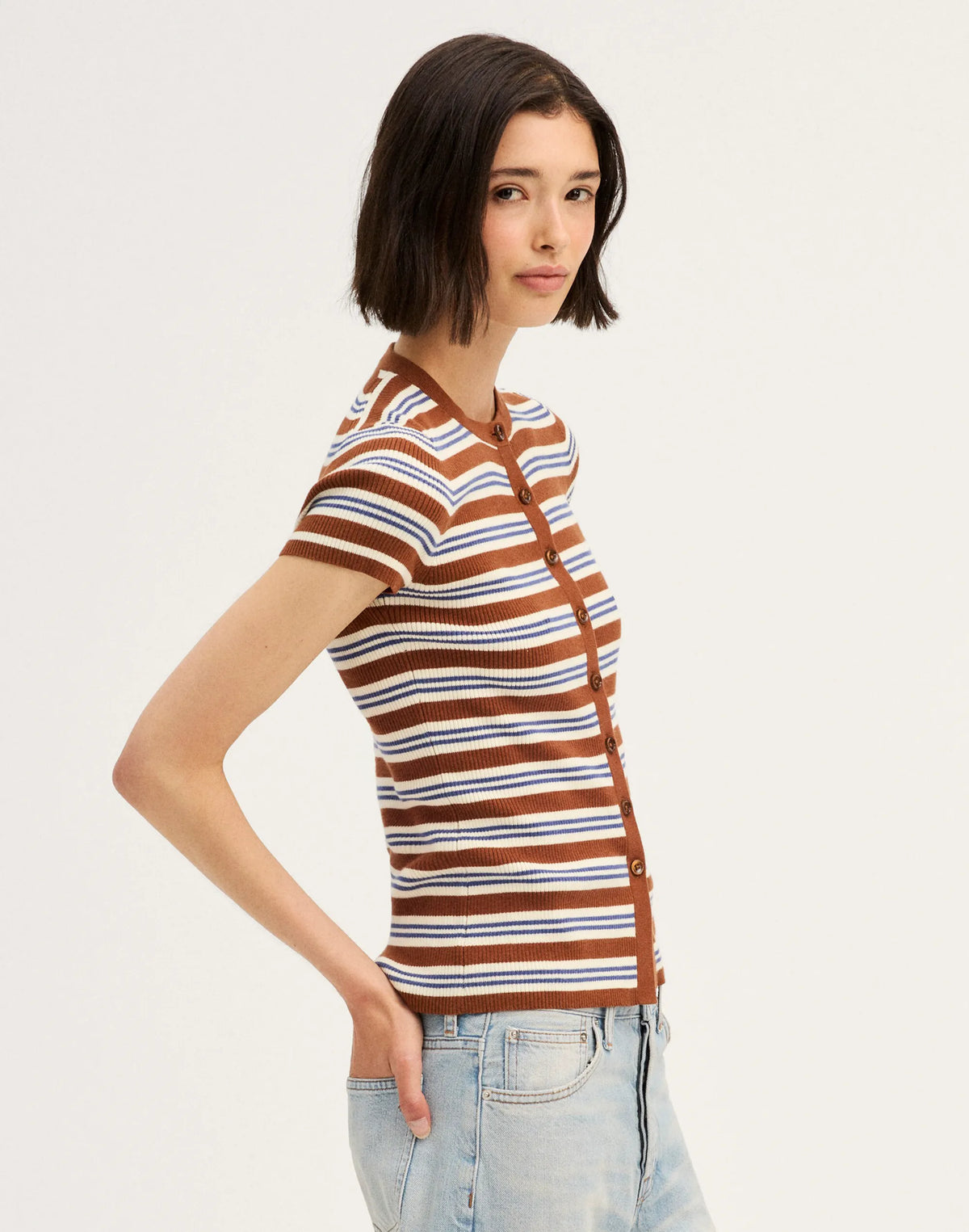 BROWN MULTI STRIPE