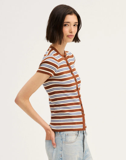 BROWN MULTI STRIPE