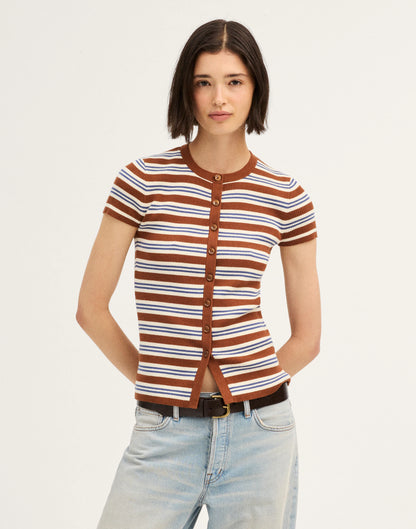 BROWN MULTI STRIPE