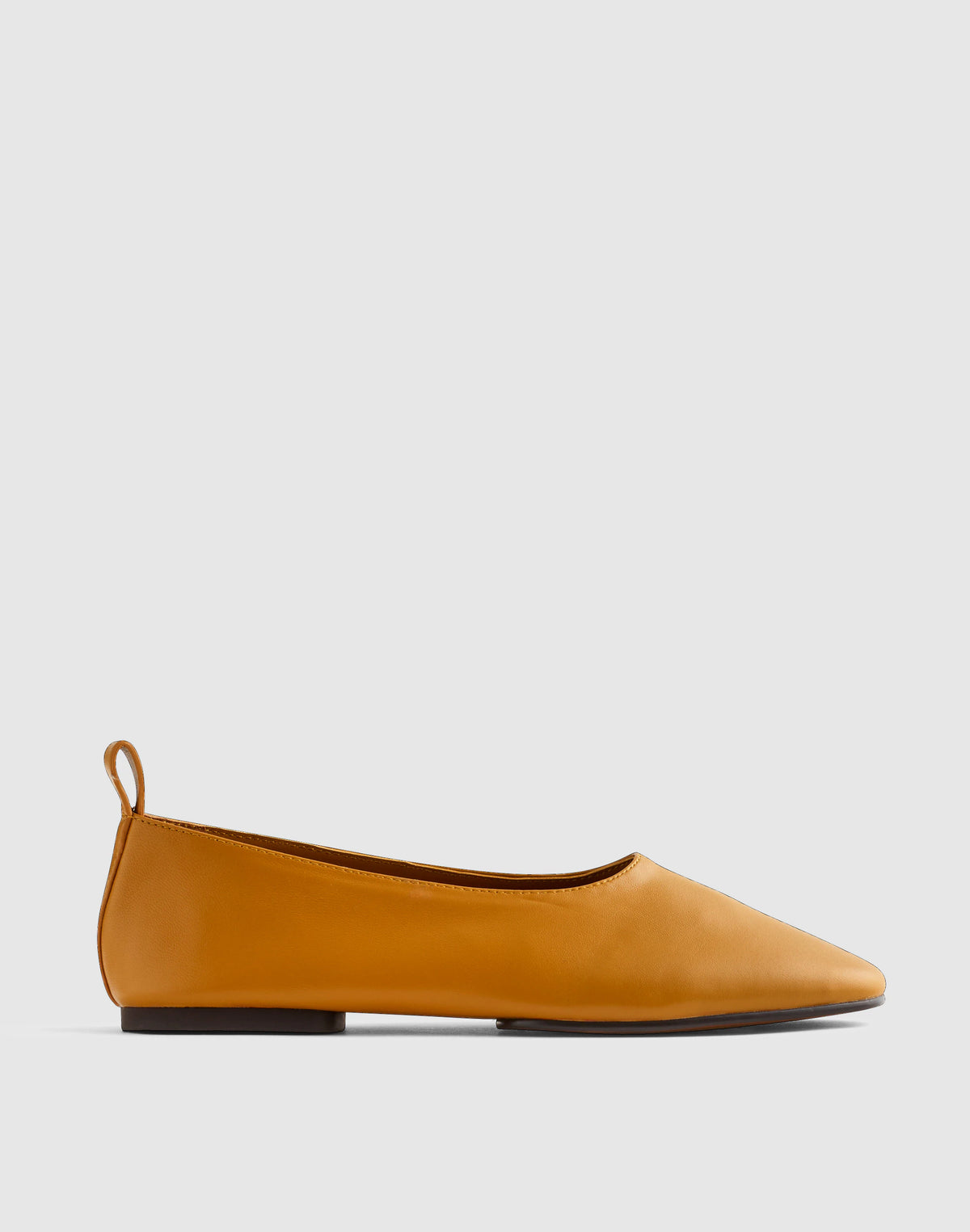 DARK OCHRE