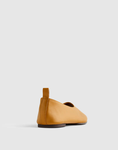 DARK OCHRE